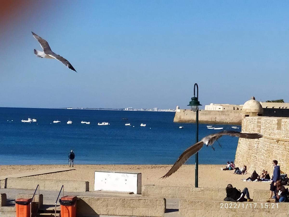 Atico Soleado Lejlighed Cádiz Eksteriør billede